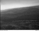 Timber on hills with logged land in the distance, 1948, #L31R20F3_1