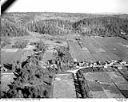 Grayland cranberry bogs, 10/17/1948, #L31R21F10_1