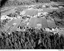 Grayland cranberry bogs, 10/17/1948, #L31R21F12_1