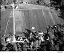 Grayland cranberry bogs, 10/17/1948, #L31R21F17_1