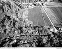 Grayland cranberry bogs, 10/17/1948, #L31R21F18_1