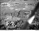 Grayland cranberry bogs, 10/17/1948, #L31R21F20_1