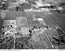 Grayland cranberry bogs, 10/17/1948, #L31R21F22_1