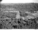 Grayland cranberry bogs, 10/17/1948, #L31R21F3_1