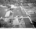 Grayland cranberry bogs, 10/17/1948, #L31R21F5_1