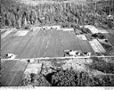 Grayland cranberry bogs, 10/17/1948, #L31R21F6_1