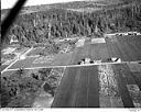 Grayland cranberry bogs, 10/17/1948, #L31R21F7_1