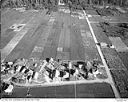 Grayland cranberry bogs, 10/17/1948, #L31R21F8_1