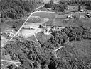 Aerial view of homes and gardens at Altenau Street, 6/22/1948, #L31R3F15_1