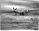 P-51 Mustang fighter plane, probably at Bowerman Field, 7/4/1948, #L31R6F52_1