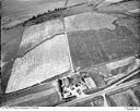 Unidentified farm, 7/10/1948, #L31R7F3_1