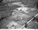 Aerial view of homes and gardens at Altenau Street, Cosmopolis, 7/10/1948, #L31R7F6_1