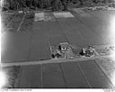 Unidentified farm house with gardens and cranberry bogs, 7/24/1948, #L31R8F7_1