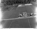 Unidentified farm house with gardens and cranberry bogs, 7/24/1948, #L31R8F9_1