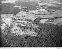 Unidentified timber lands with signs of logging activity, circa 1949, #L32R24F3_1