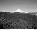 Mt. St. Helens and vicinity, 2/25/1949, #L32R25F11_1