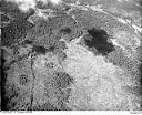 View of timber land, 4/8/1949, #L32R26F15_1