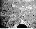 View of timber land, 4/8/1949, #L32R26F16_1