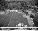 Cranberry bogs, 4/26/1949, #L32R27F10_1