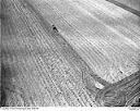 Farmer on tractor plowing a field, 5/8/1949, #L32R31F24_1