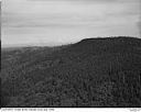 Timber and Mt. Rainier, circa 7/1949, #L32R34F4_1