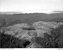 Unidentified timber land and logging road, 9/4/1949, #L32R35F10_1