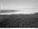 Timber on hills with an unidentified fog covered valley in the distance, 9/4/1949, #L32R35F11_1