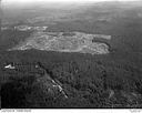 Timber land partially logged, 9/4/1949, #L32R35F24_1