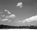 Clouds and airplane wing, 9/4/1949, #L32R35F29_1