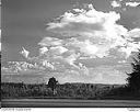 Clouds and stumps, 9/4/1949, #L32R35F48_1